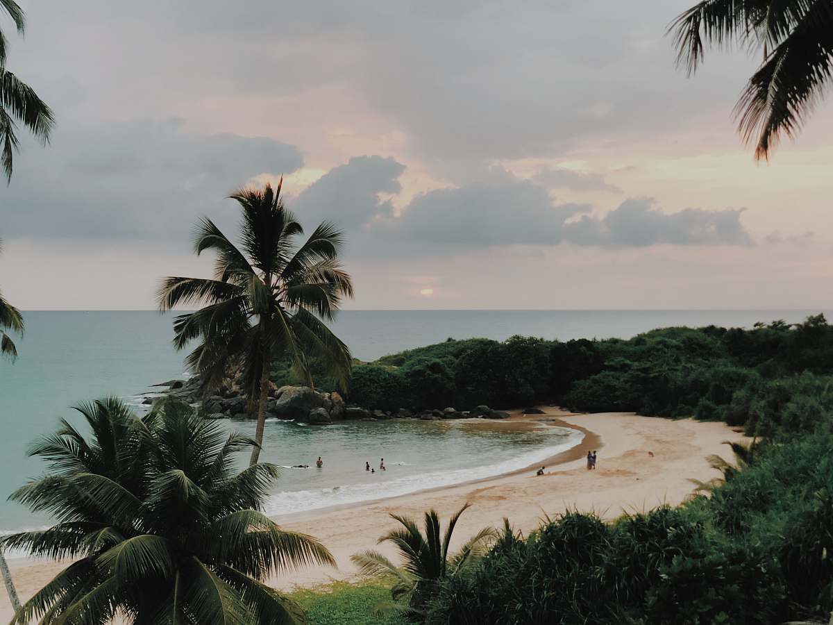 palm tree island with white sand during daytime tropical